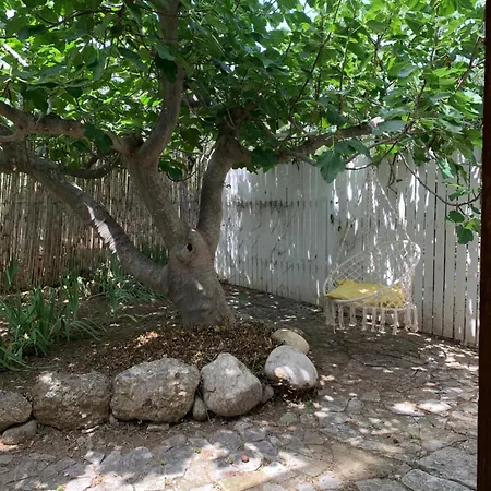 Fattoria Pozzitello * San Salvo