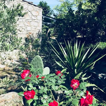 Farm stay Fattoria Pozzitello