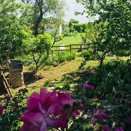 Fattoria Pozzitello Farm stay *