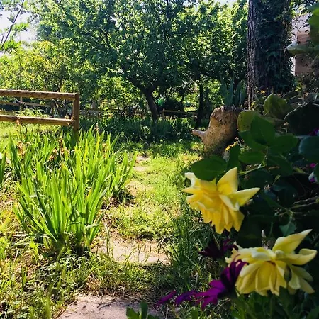 Farm stay Fattoria Pozzitello *