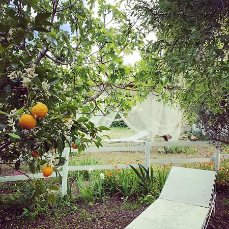 Farm stay Fattoria Pozzitello San Salvo