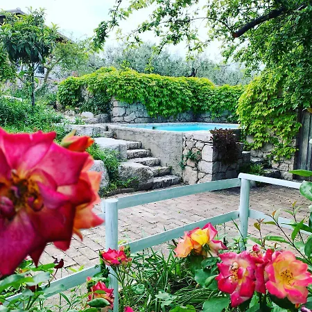 Fattoria Pozzitello Farm stay