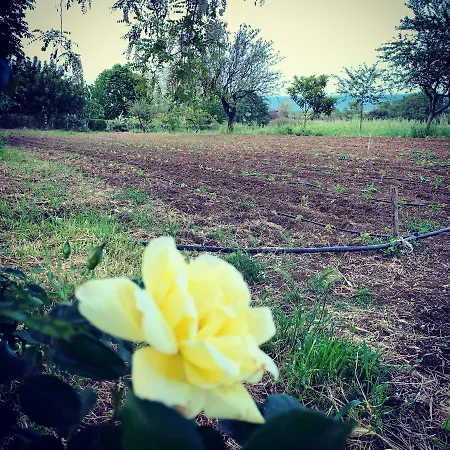 Fattoria Pozzitello *