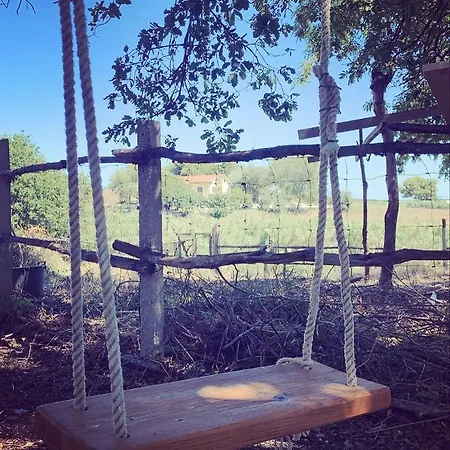 Fattoria Pozzitello Farm stay