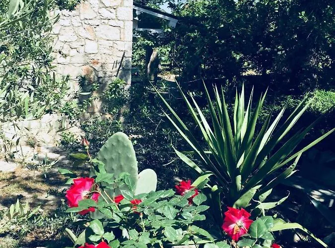 Farm stay Fattoria Pozzitello