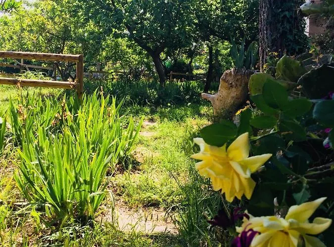 Farm stay Fattoria Pozzitello *