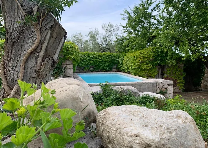 Farm stay Fattoria Pozzitello