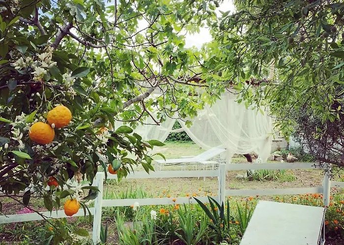 Agroturismo Fattoria Pozzitello San Salvo