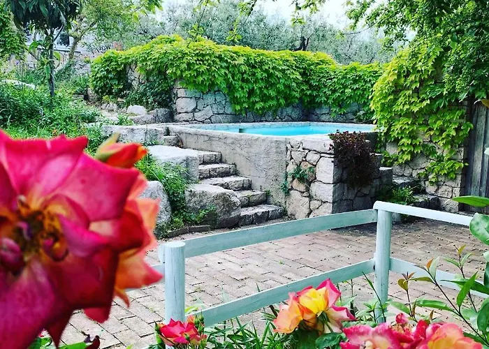 Fattoria Pozzitello Agroturismo