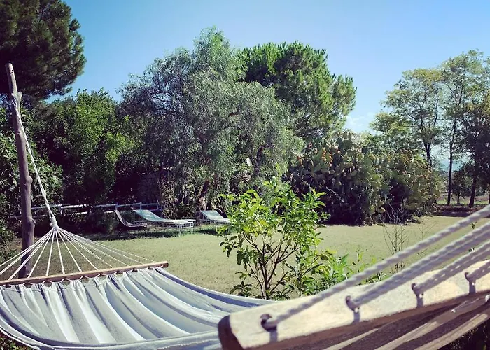 Fattoria Pozzitello *