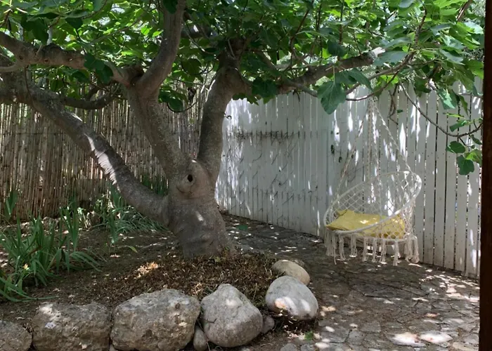 Fattoria Pozzitello * סן סלבו